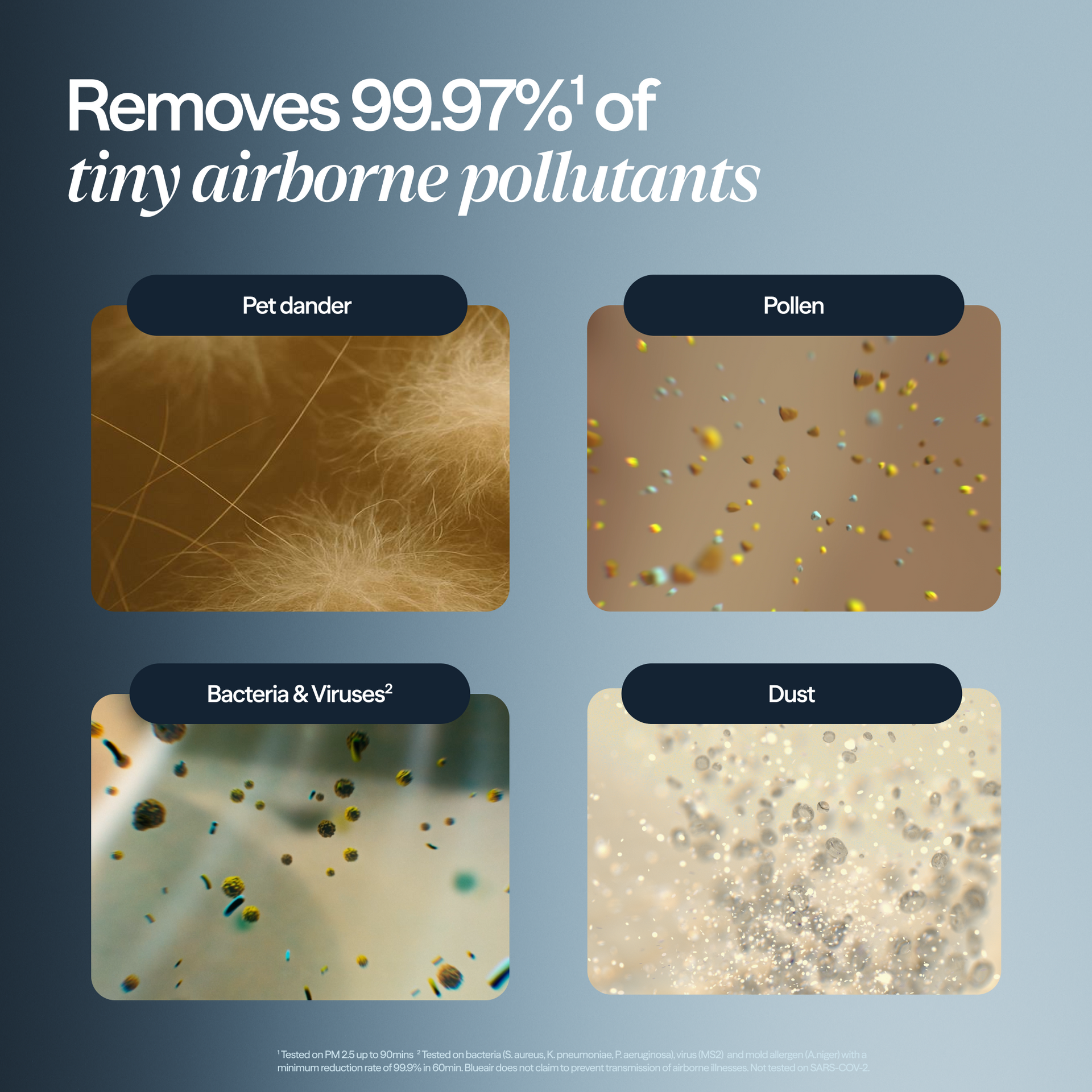 Blueair manufacturer illustration of airborne particles