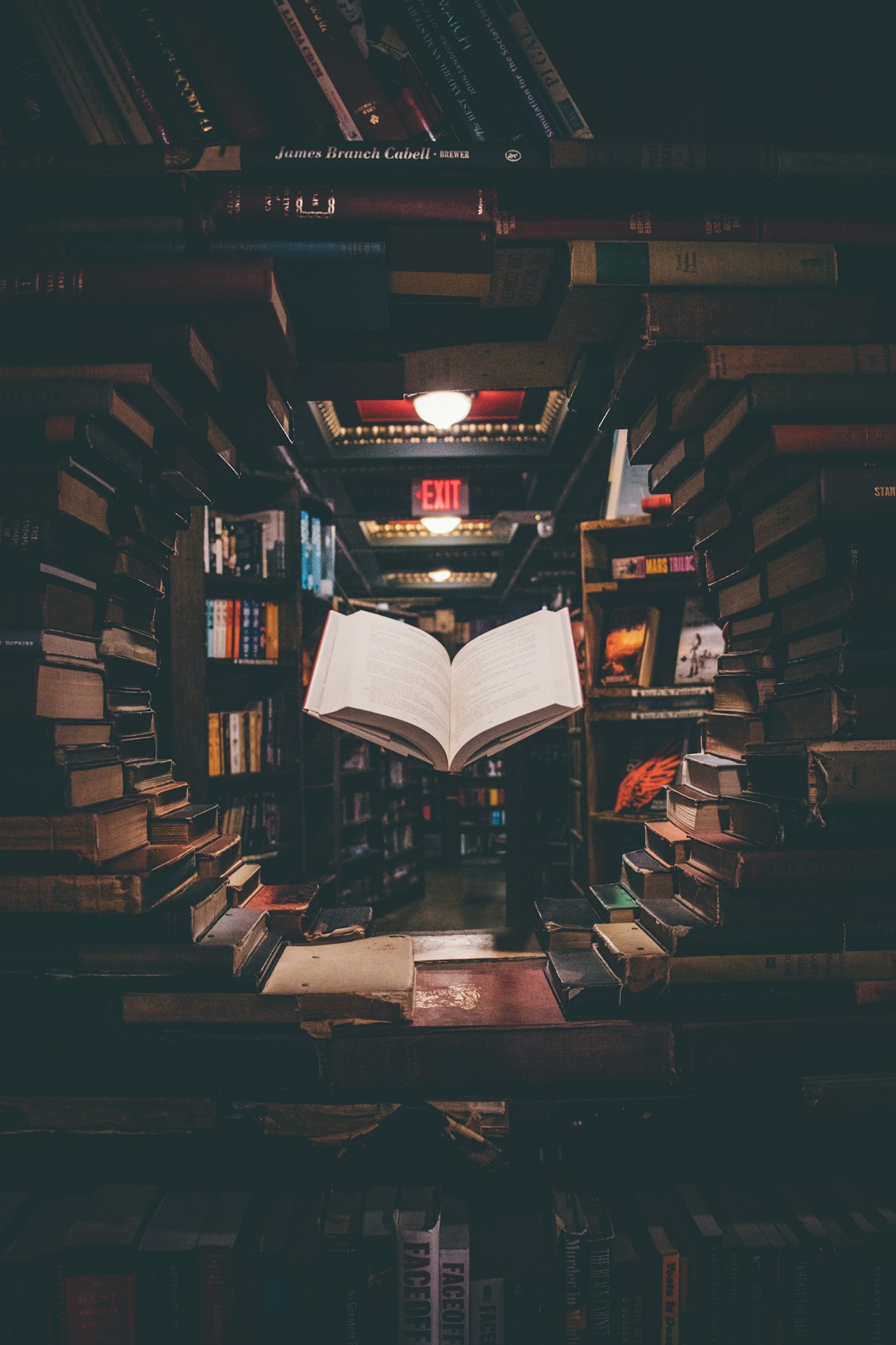 Bookshelf-like storage where cube dimensions can suit books and media