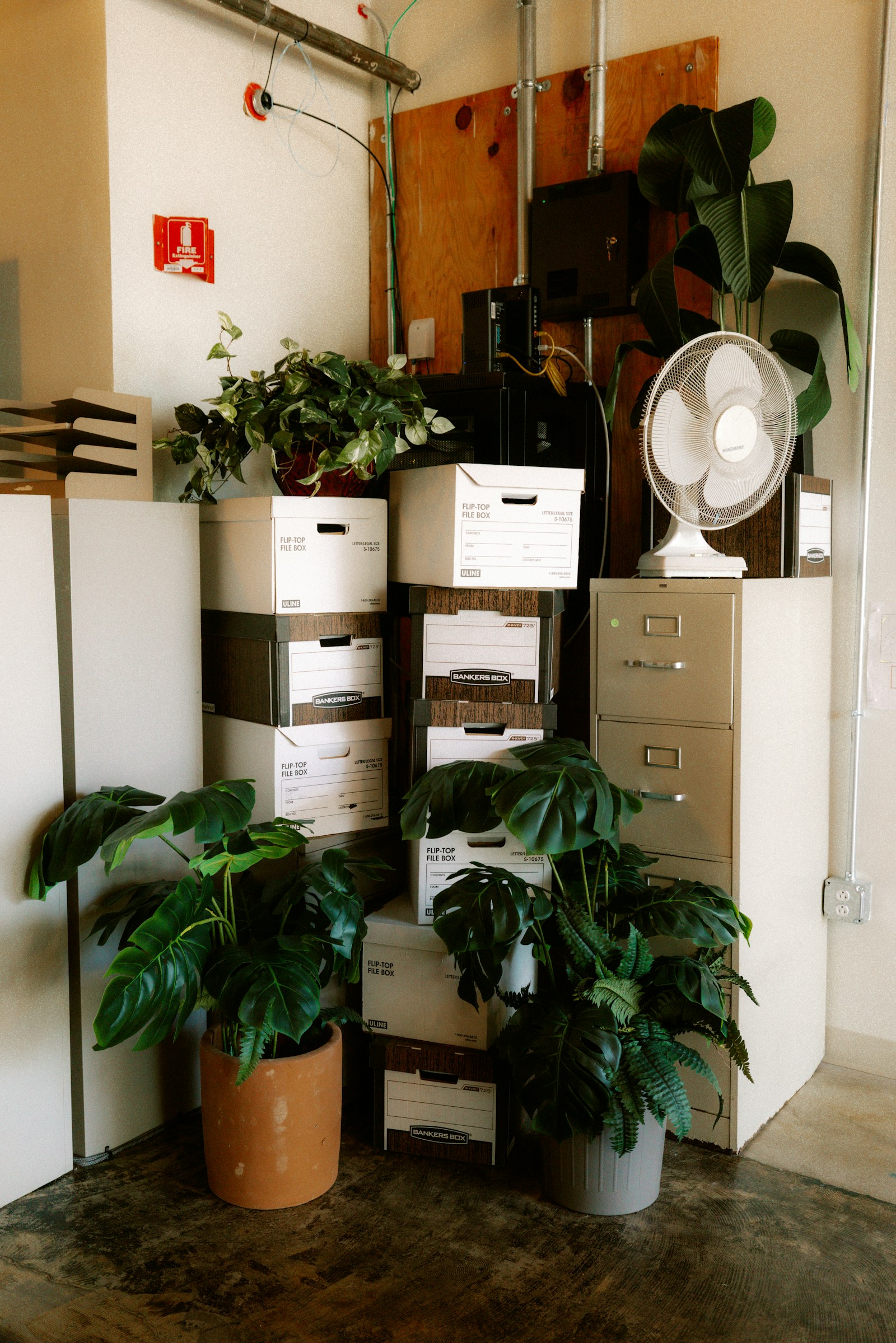 Office corner with plants, boxes, and a fan