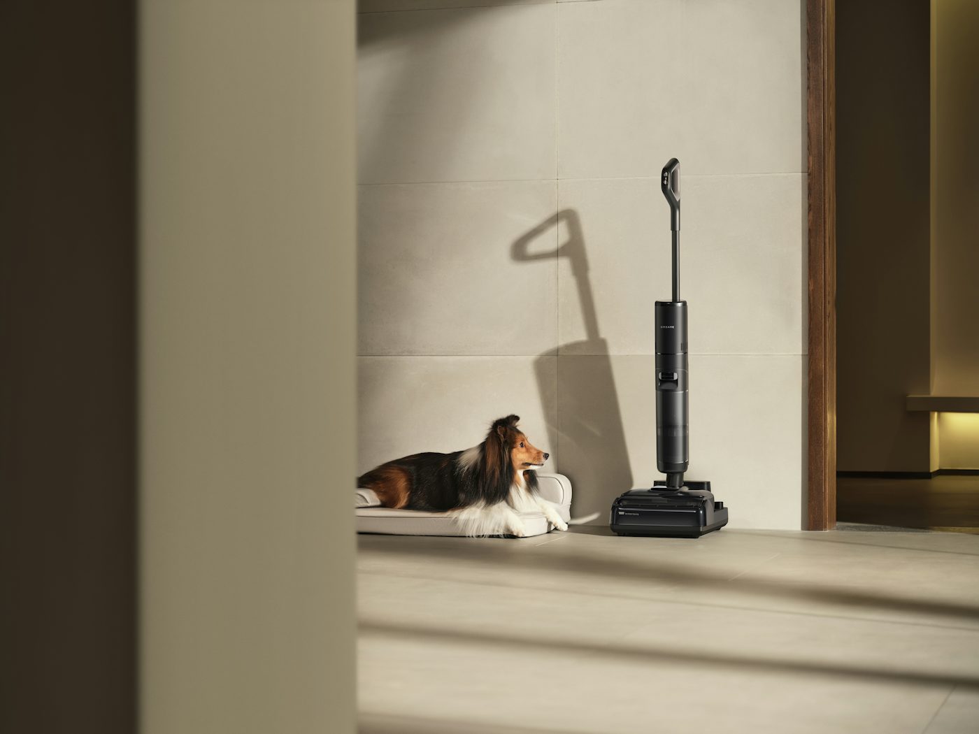 A dog rests near a vacuum cleaner on the floor