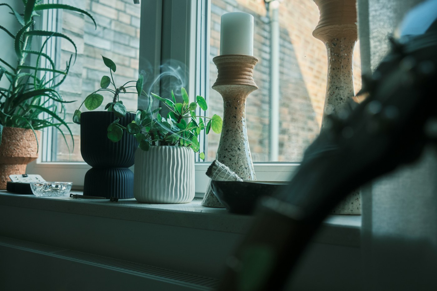 Plants on a window sill before a cleaning reset