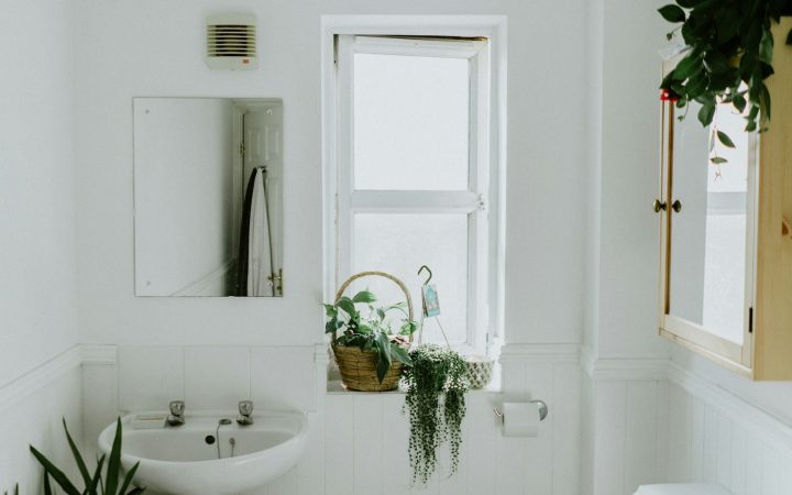 A white bathroom with a pedestal sink, toilet, and potted plants on a checkered floor