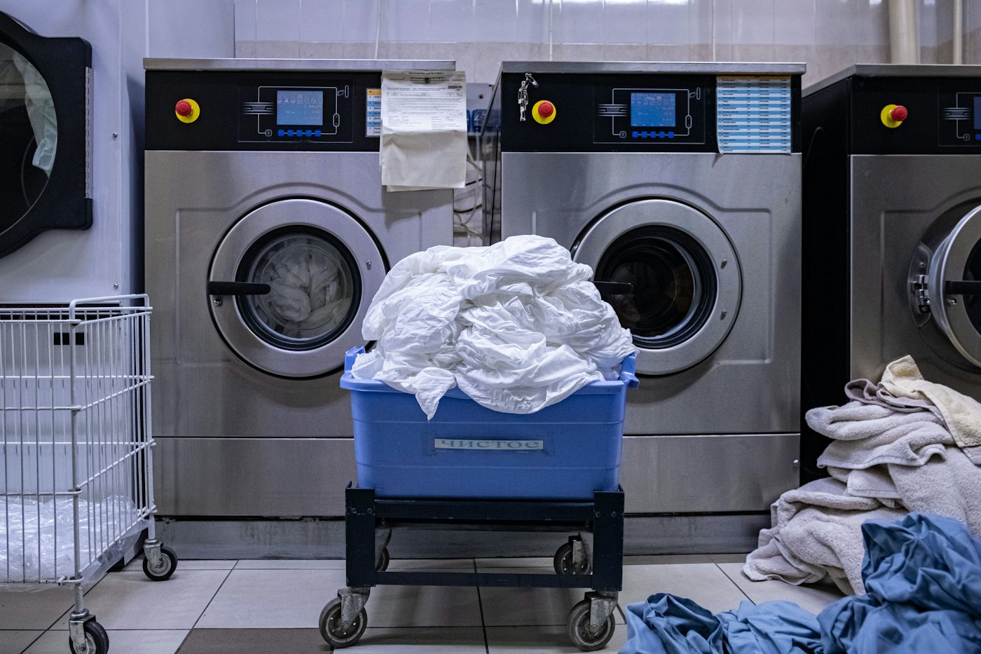 Amazon Basics vs. Honey-Can-Do Gullwing: Which Drying Rack Fits Your Laundry Area?