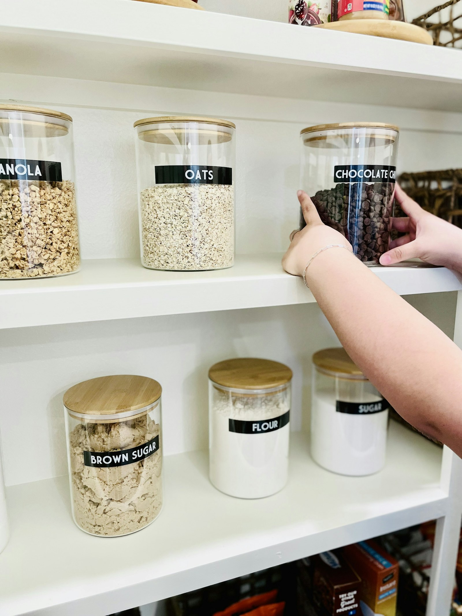 OXO POP vs. ProKeeper+: Which Baking Containers Deserve Small-Pantry Space?