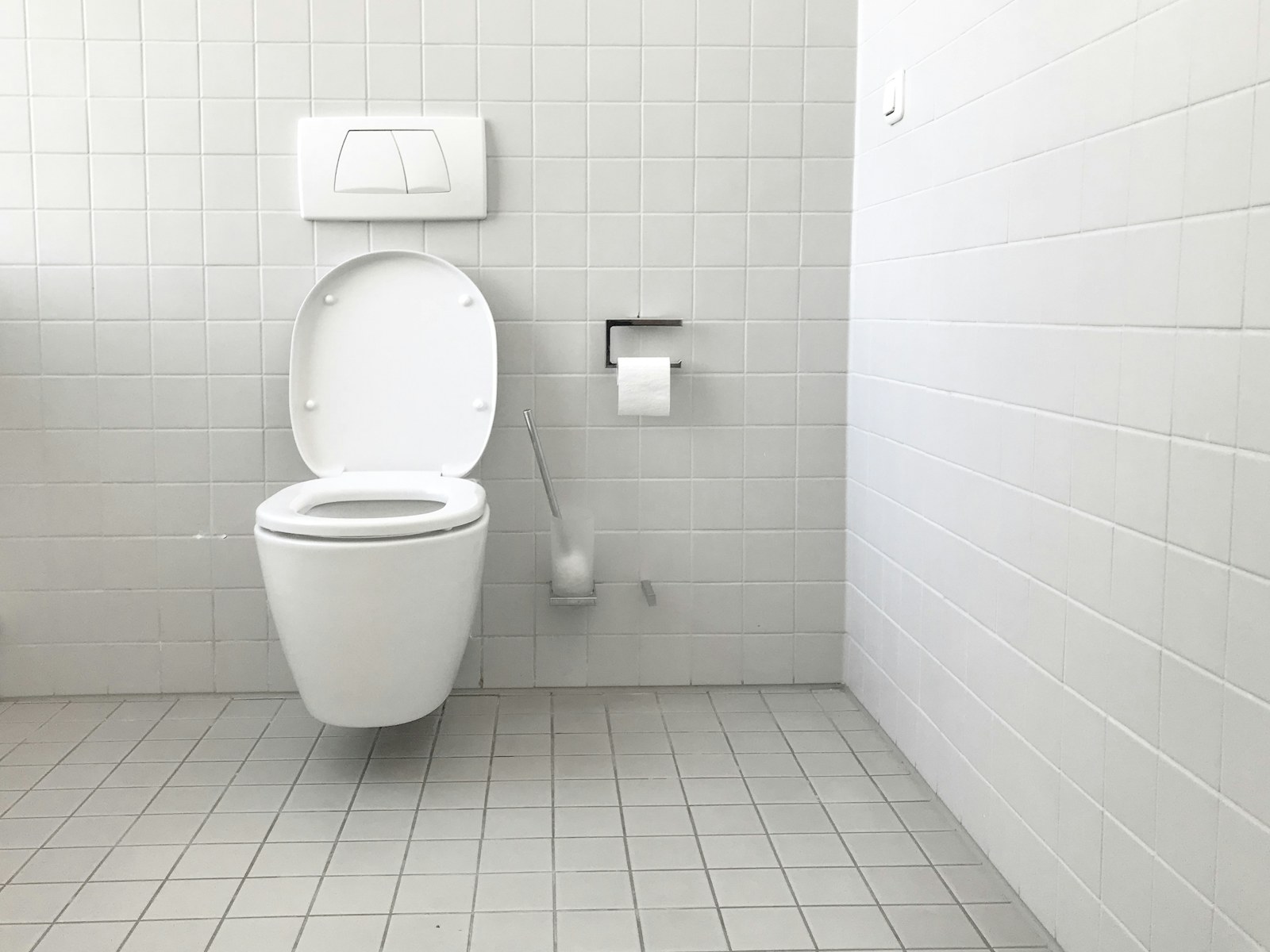 OXO Compact Toilet Brush and Canister Review: A Better Fit Beside a Small Toilet?
