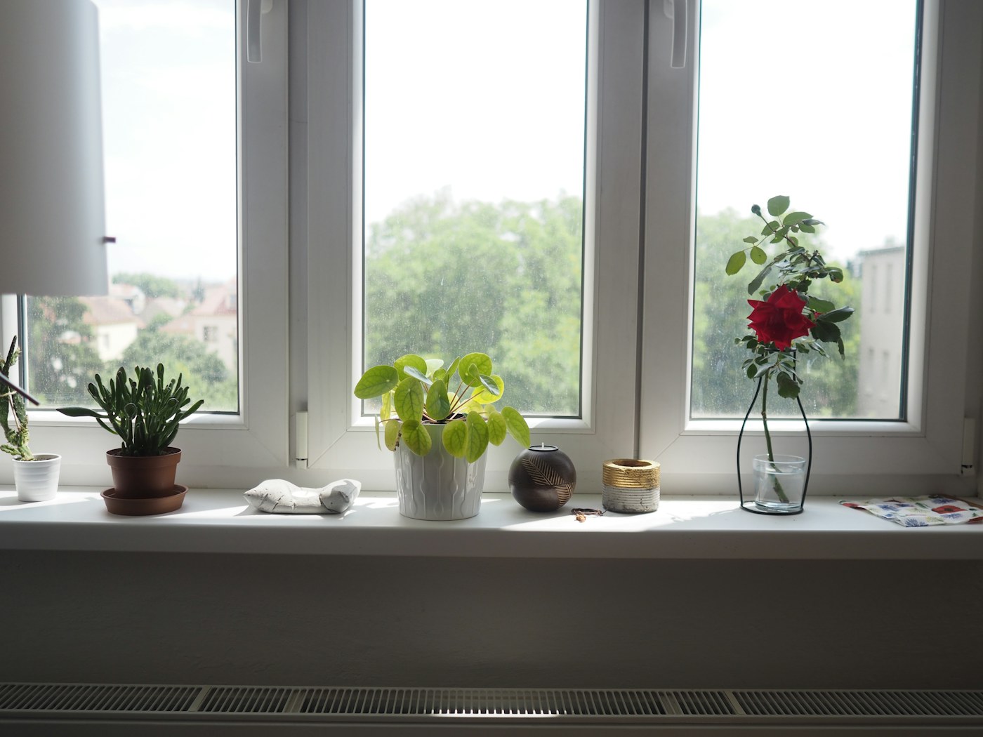 Bright home window after a simple reset