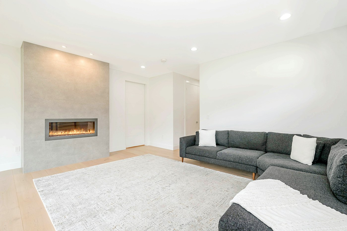 Living room rug and floor zone where pet hair and tracked debris can collect