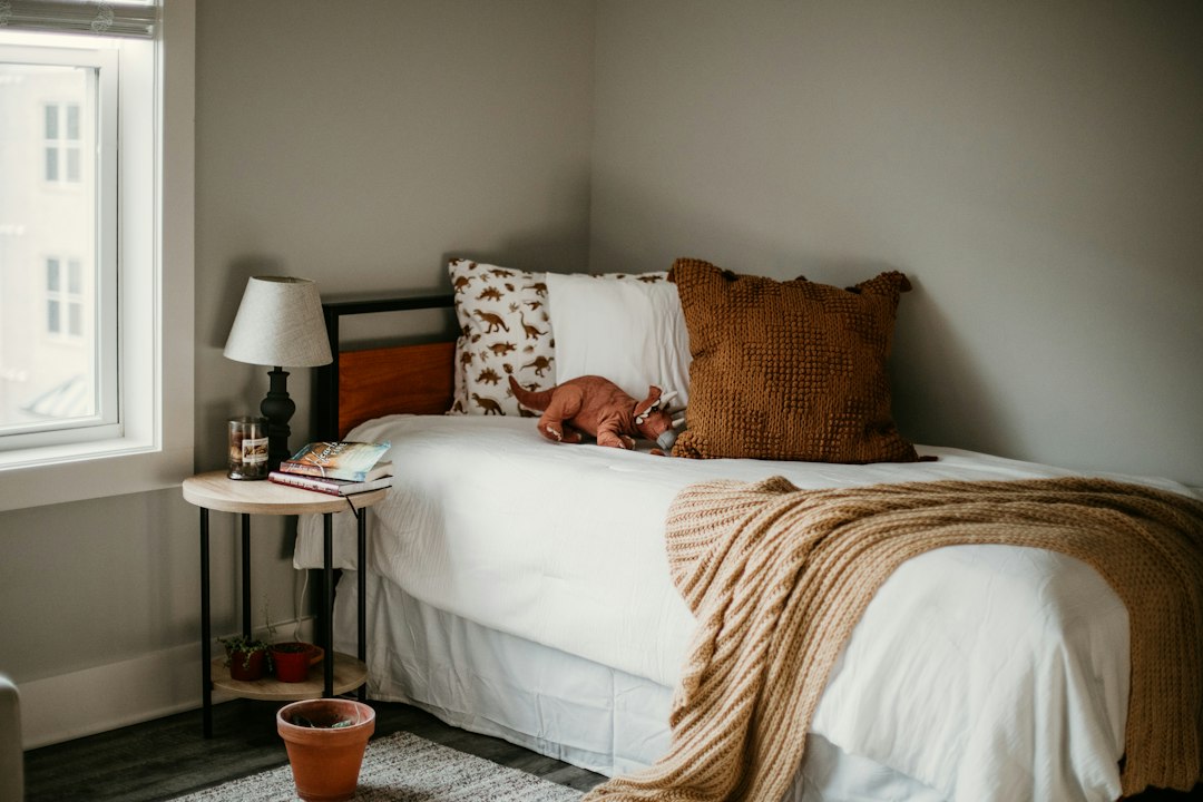 Small bedroom with a clear bed and contained furniture footprint