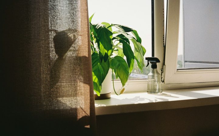 Spray bottle and plant on a bright windowsill