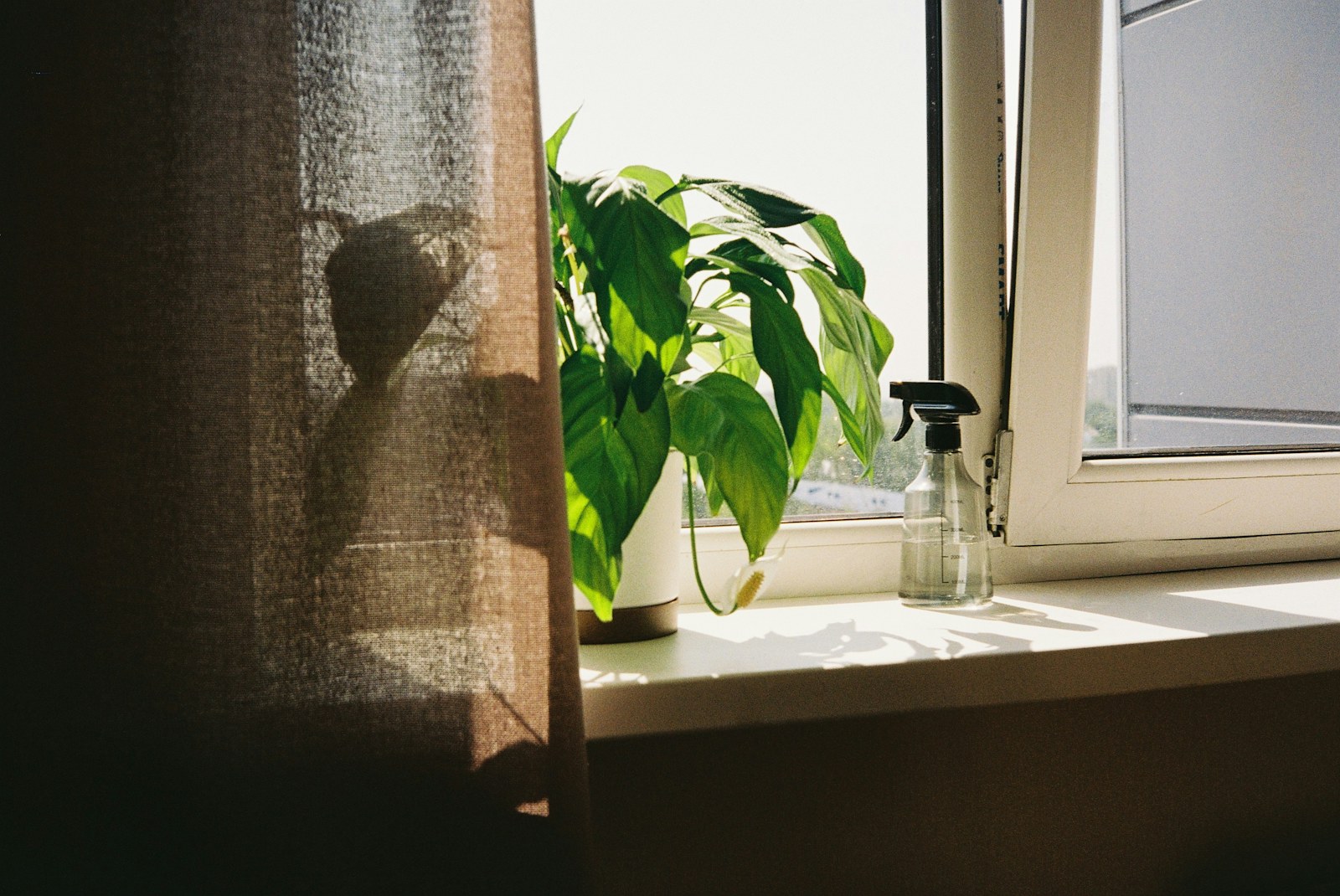 How to Clean Window Tracks and Sills in a Small Apartment Without Making a Muddy Mess