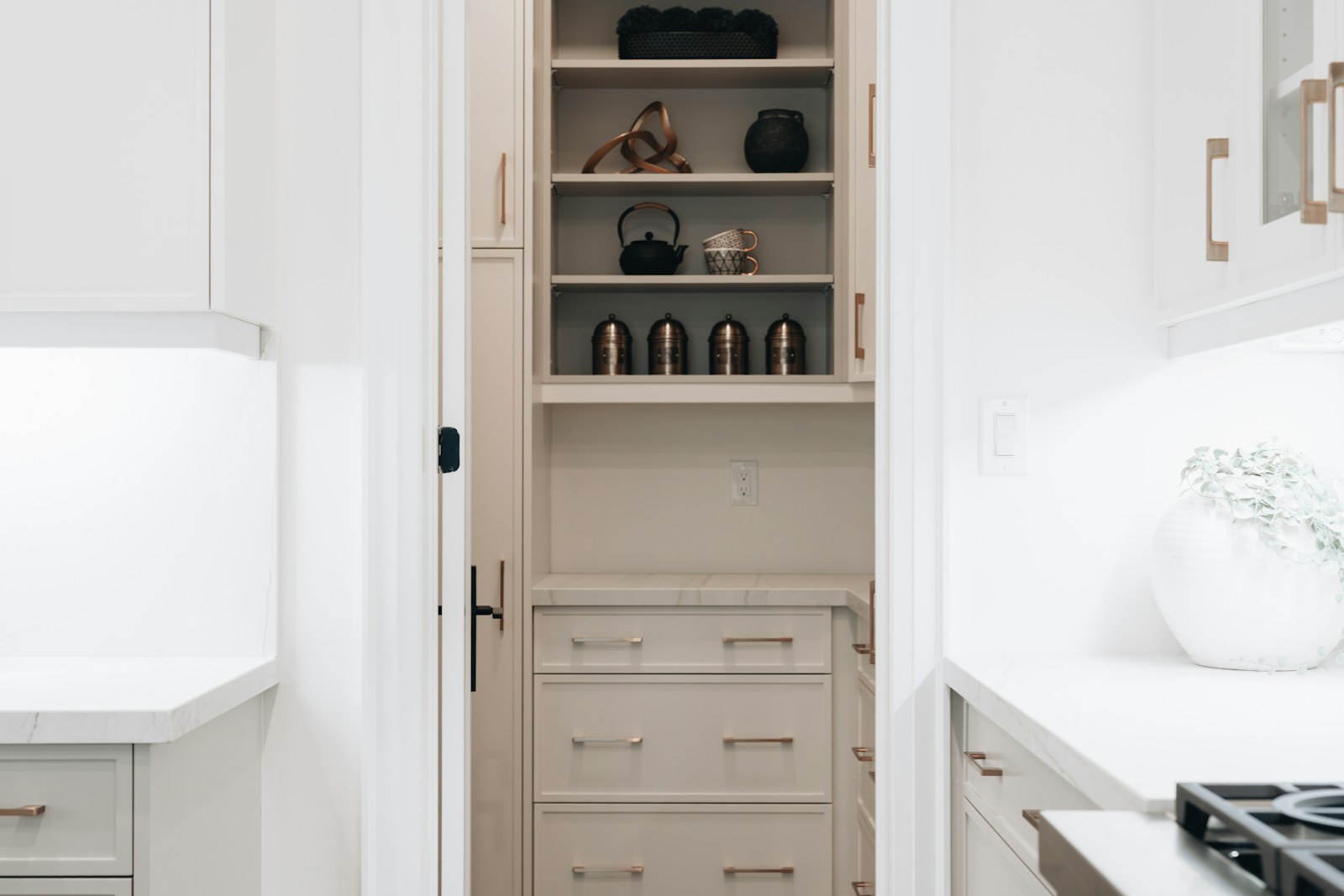 Modern pantry with a mix of open shelving and closed kitchen storage