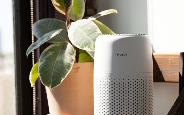 Levoit Core Mini purifier beside a houseplant