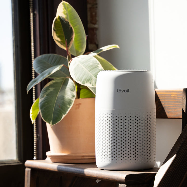 Best Compact Air Purifiers for a Small Bedroom: Core Mini-P vs. Core 200S-P vs. Blue Pure 511i Max