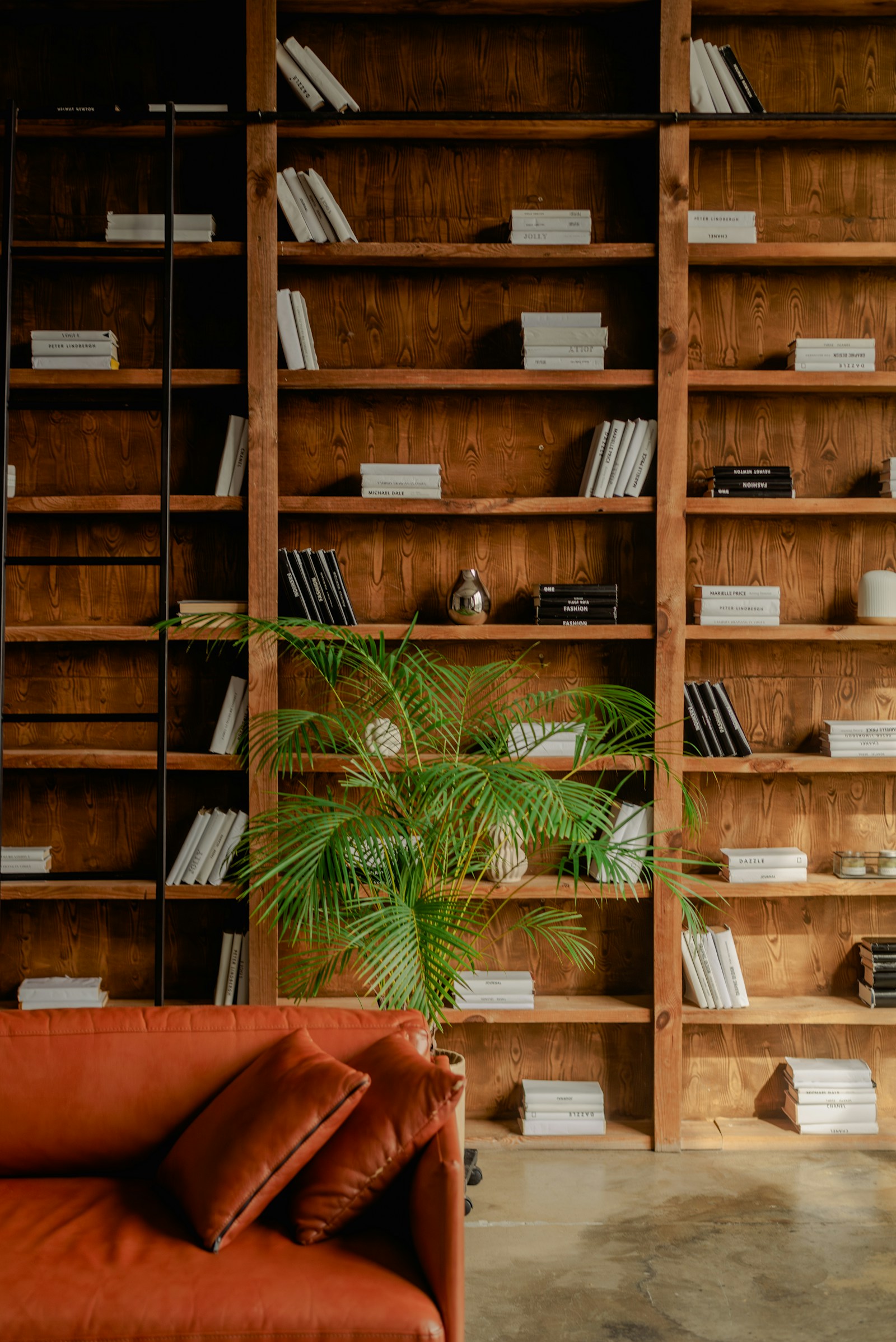 Sofa beside a wall of bookshelves