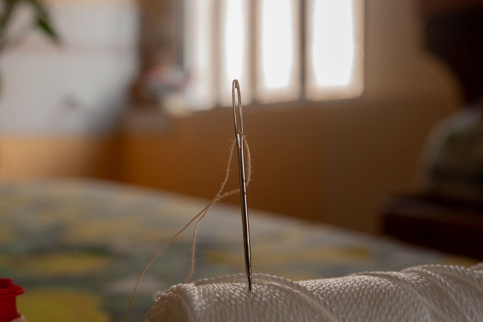 A threaded needle standing through a piece of fabric