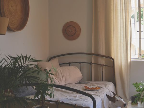 Cozy guest room with a daybed and compact furnishings suitable for a multipurpose room
