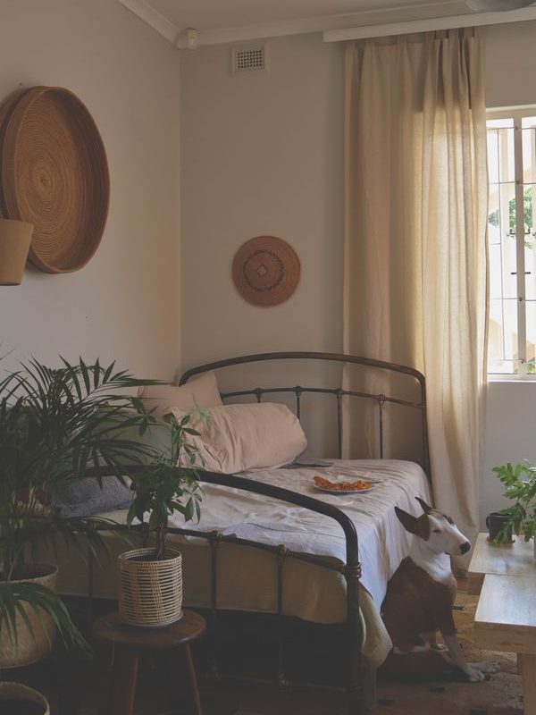 Cozy guest room with a daybed and compact furnishings suitable for a multipurpose room