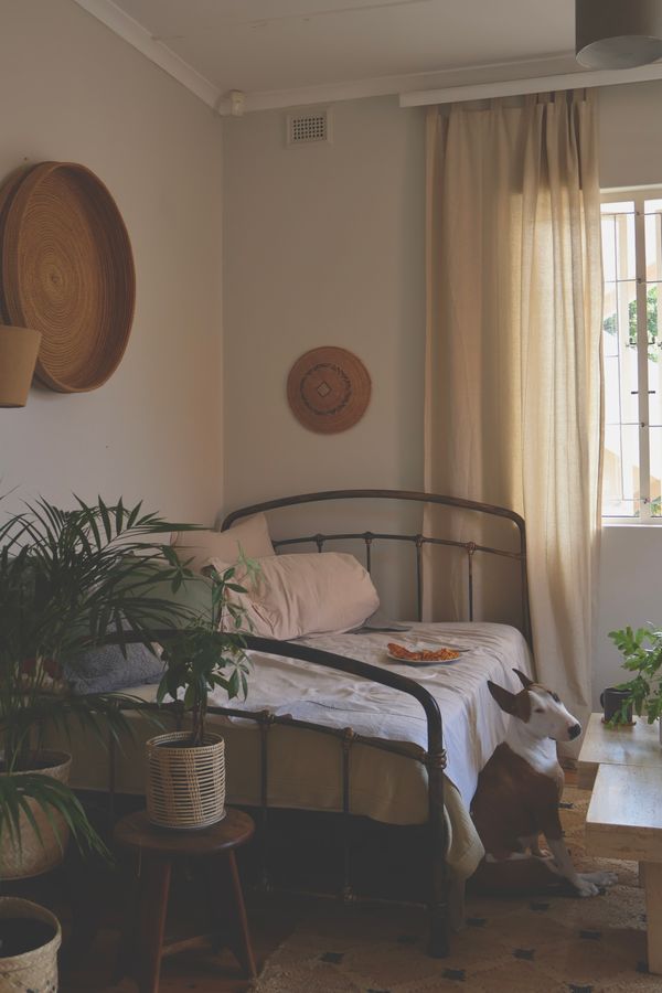Cozy guest room with a daybed and compact furnishings suitable for a multipurpose room