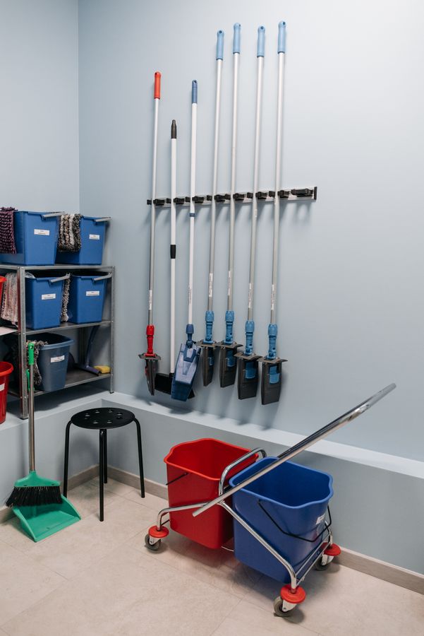 The Only Cleaning Tools a Small Home Really Needs