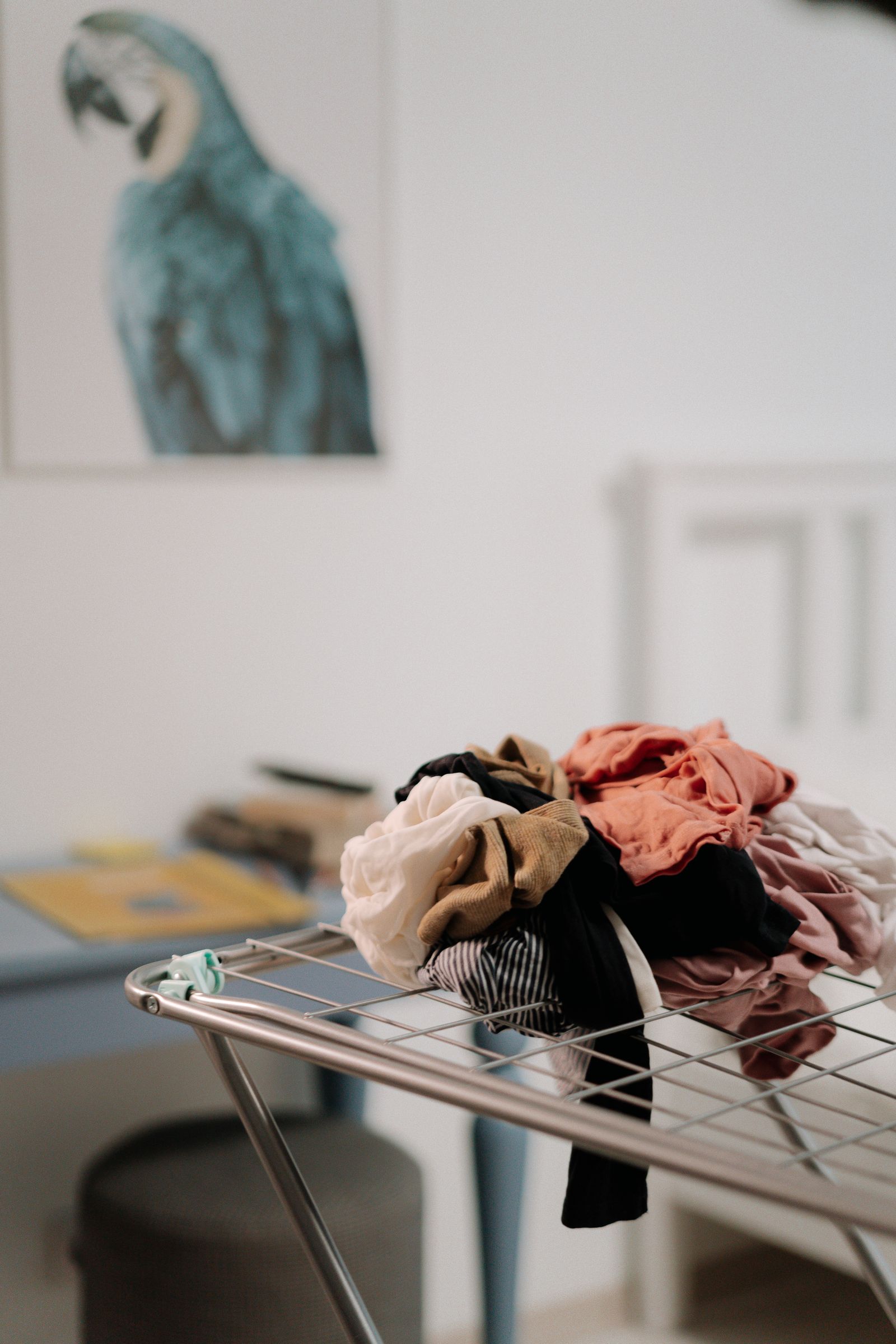 Clothes lying on a drying rack