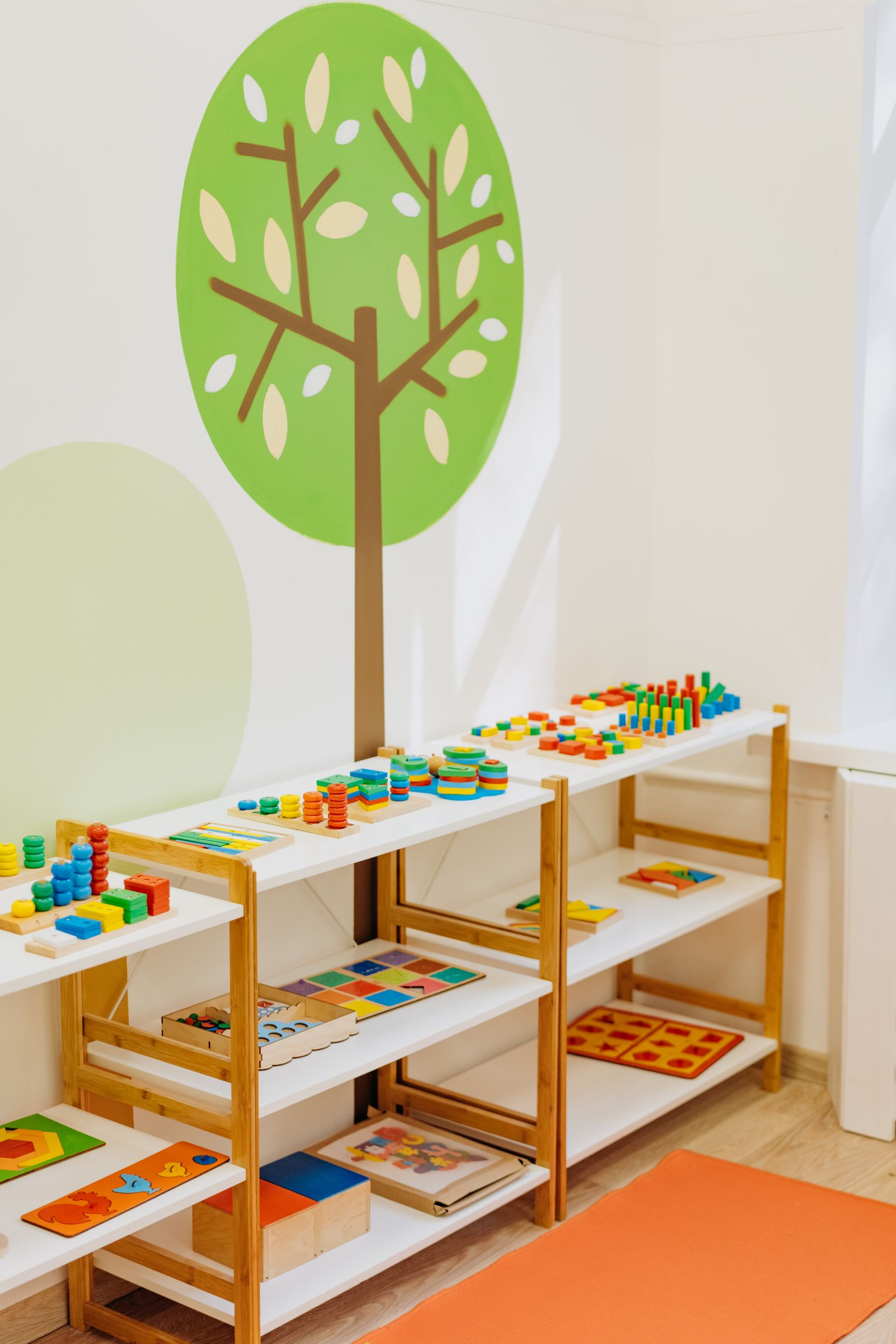 Educational toys on shelves