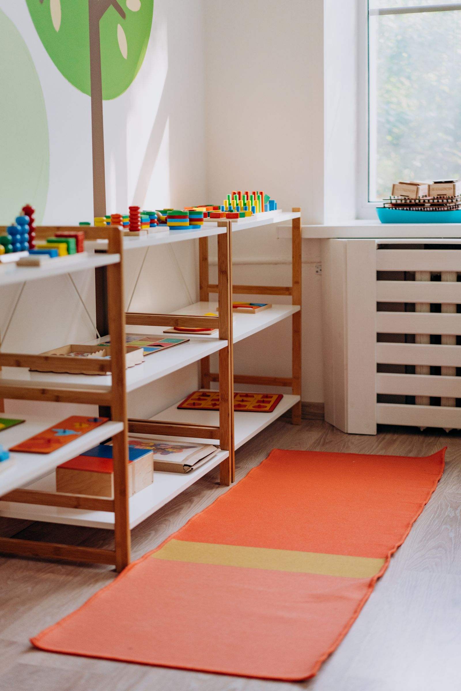 Organized toys on shelves