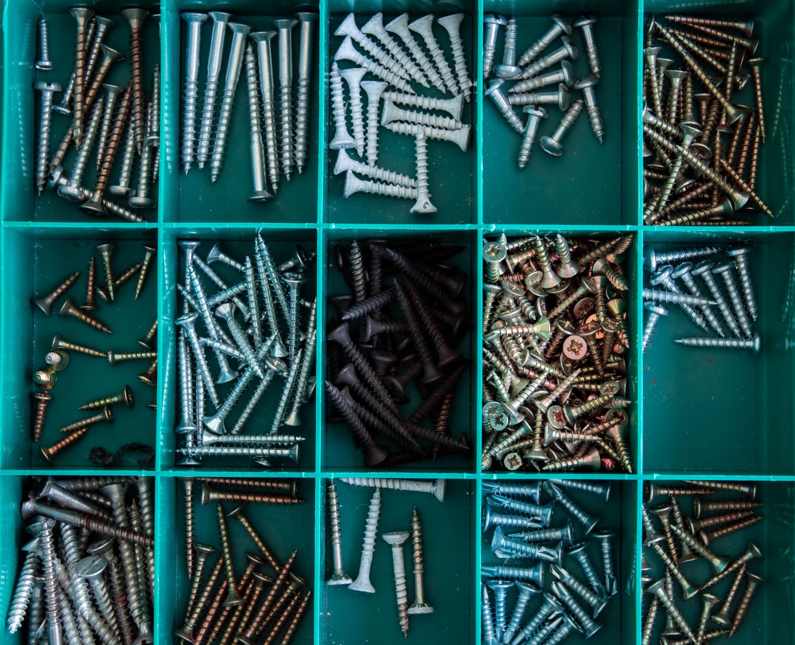 Divided storage box with sorted screws and hardware