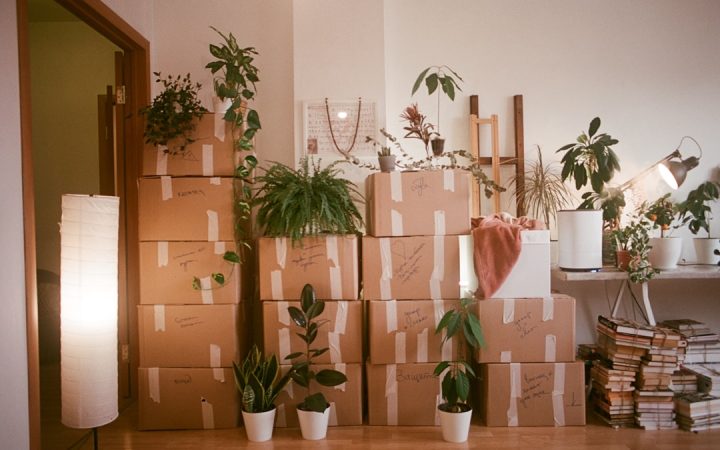 Storage boxes prepared for off-season belongings in a compact home