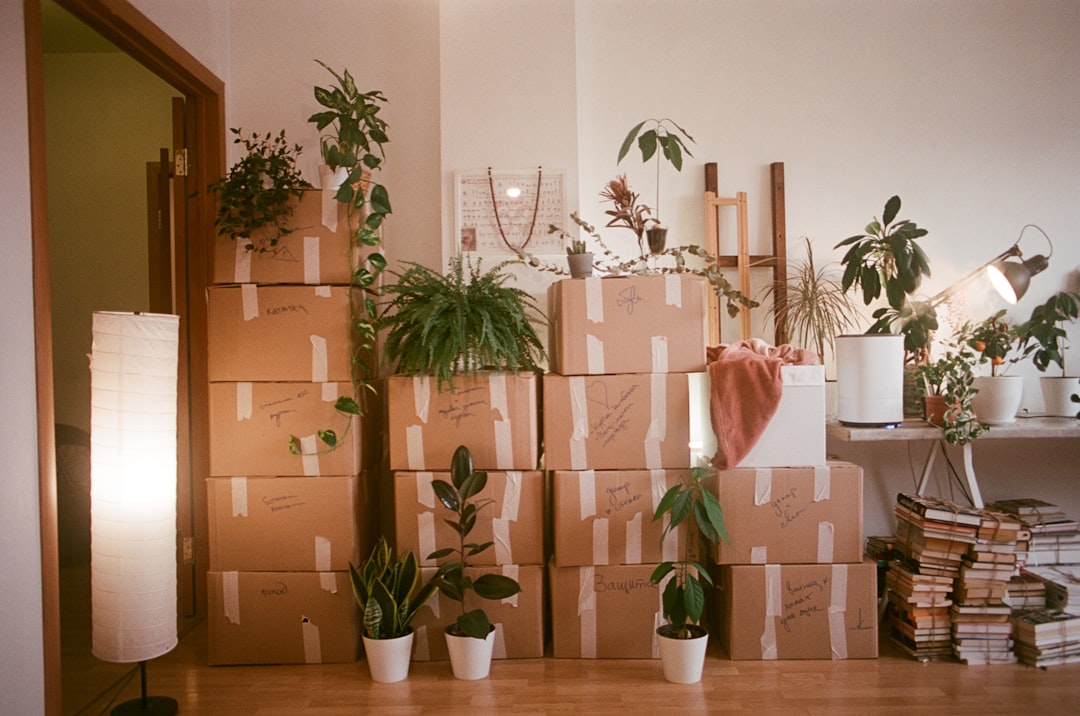 Storage boxes prepared for off-season belongings in a compact home