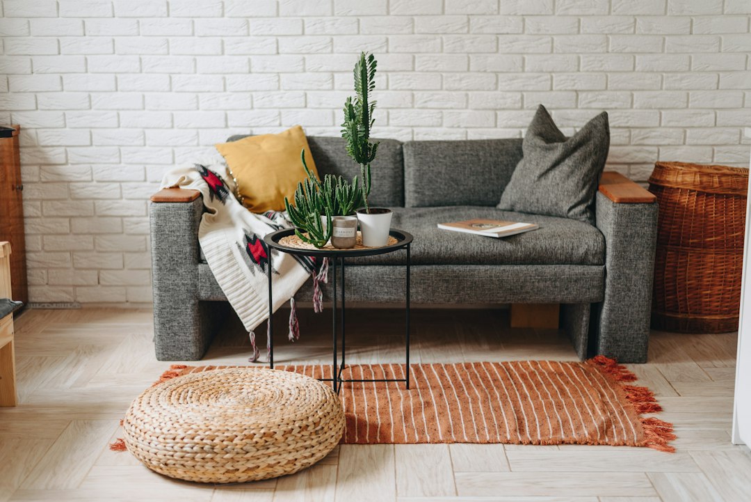 Compact sofa area with limited pillows and clear surrounding floor space