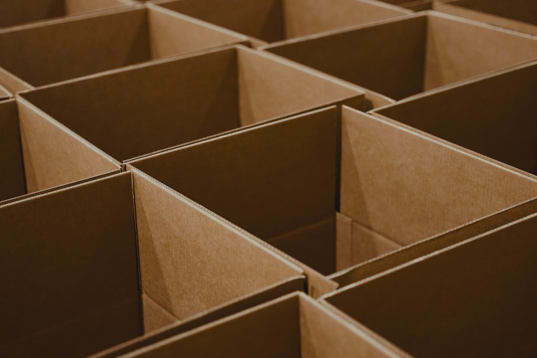 Multiple open storage boxes showing a category-based seasonal storage process
