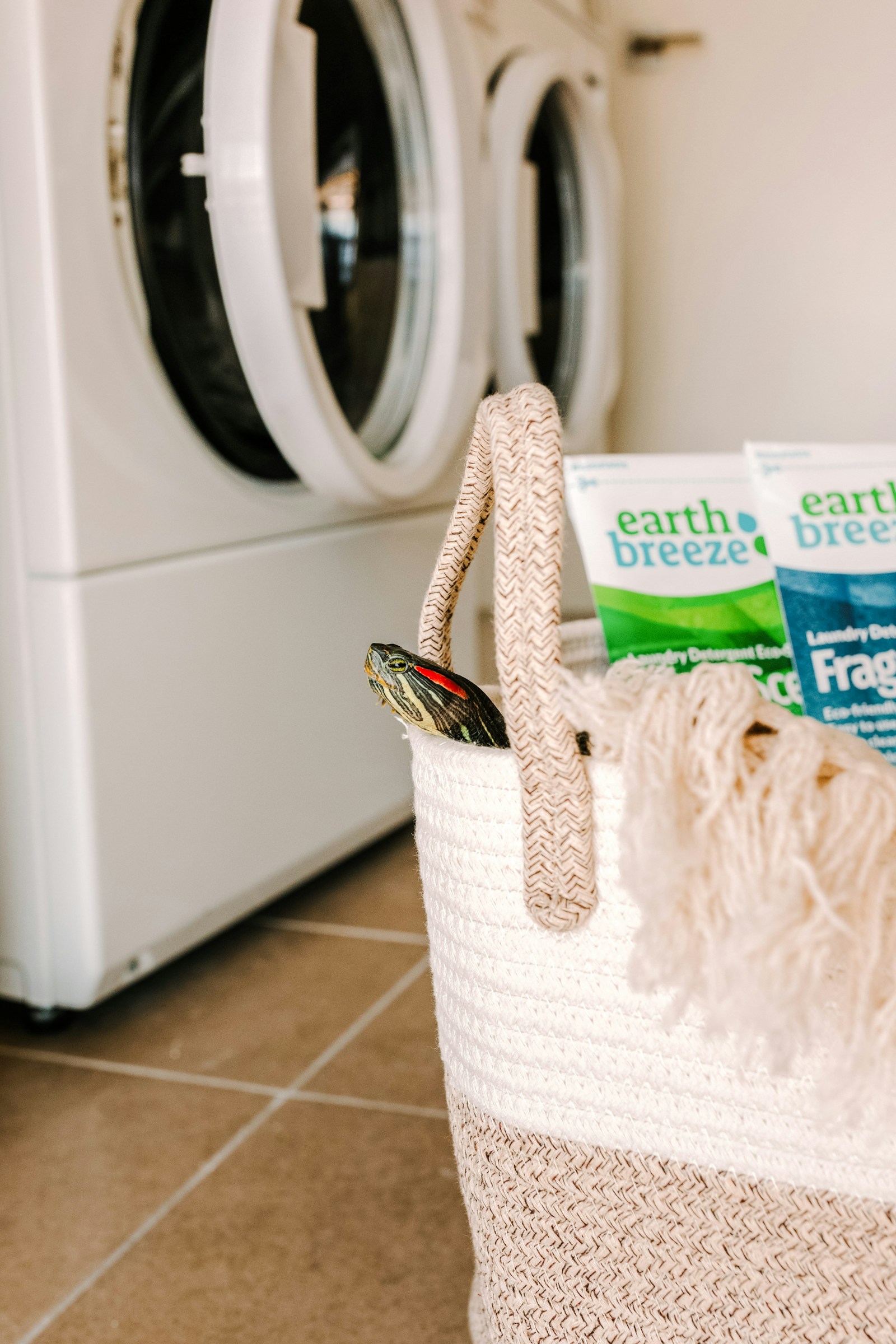 Front-loading washing machine beside laundry supplies