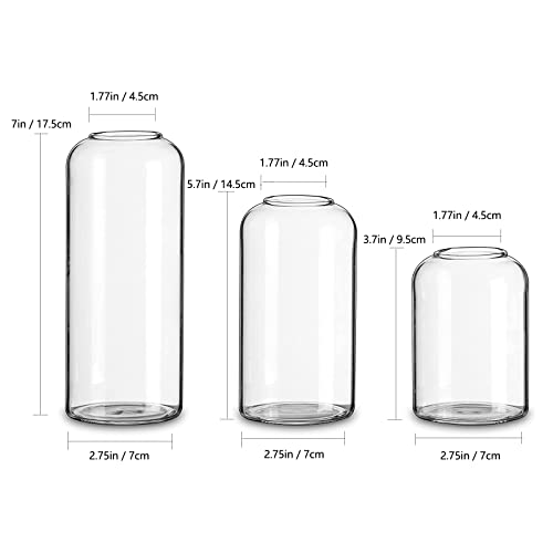 HEWORY supplier dimension diagram for approximately 7, 5.7, and 3.7-inch vase heights