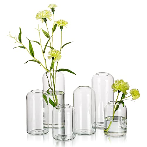 HEWORY clear cylindrical bud vases arranged with separate green and white flowers