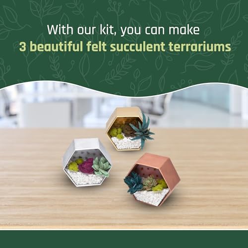 Three completed Craft Crush faux terrariums arranged as a display