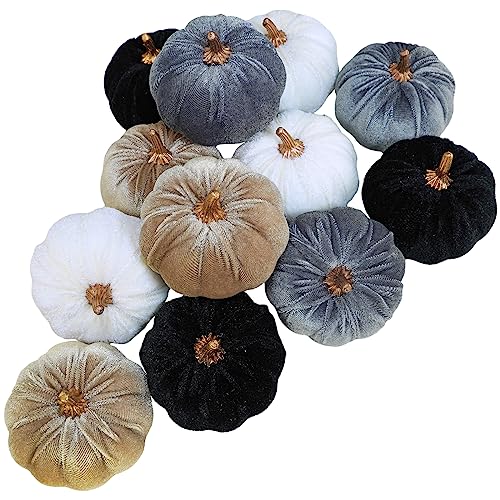 Selected Winlyn neutral velvet pumpkin twelve-piece set