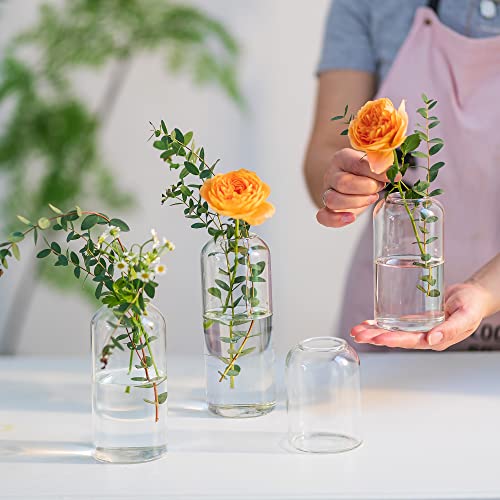 Hands arranging orange flowers in HEWORY clear bud vases