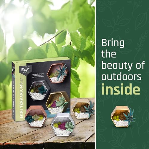 Craft Crush Mini Terrariums package beside completed felt succulent displays