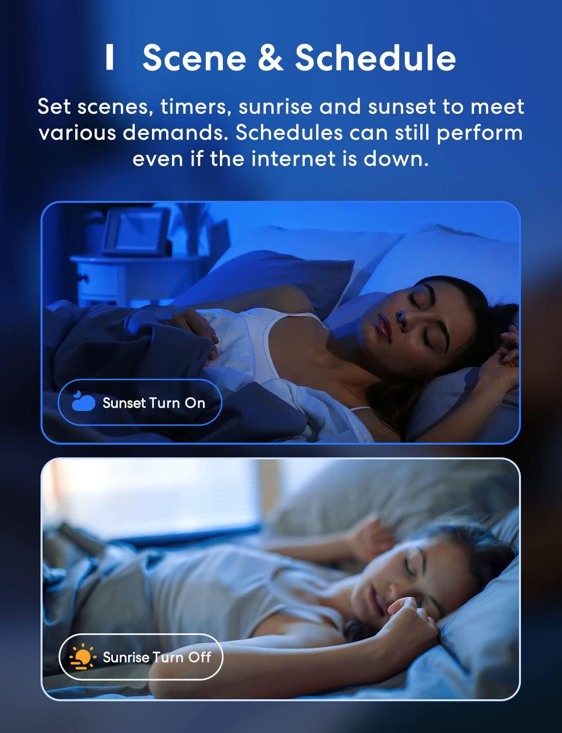 meross scene and schedule supplier graphic
