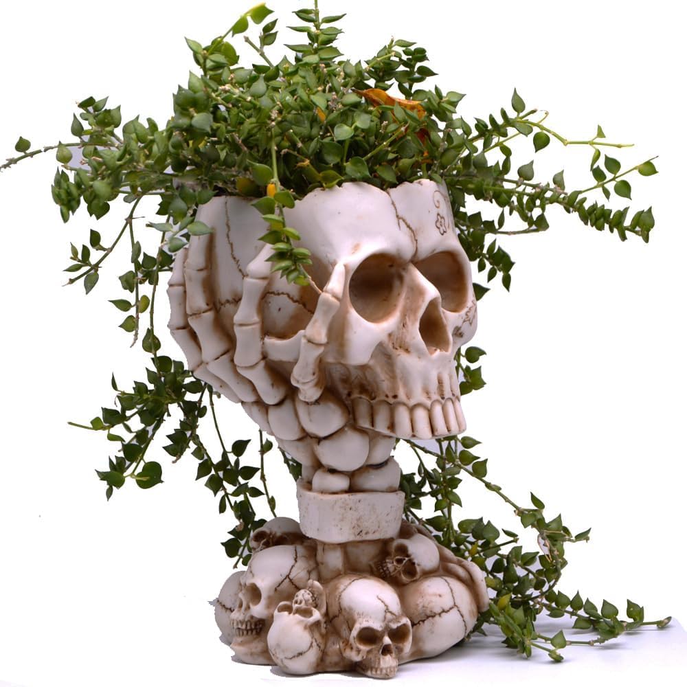 Selected LovTocTic Tall White skull planter with trailing plants