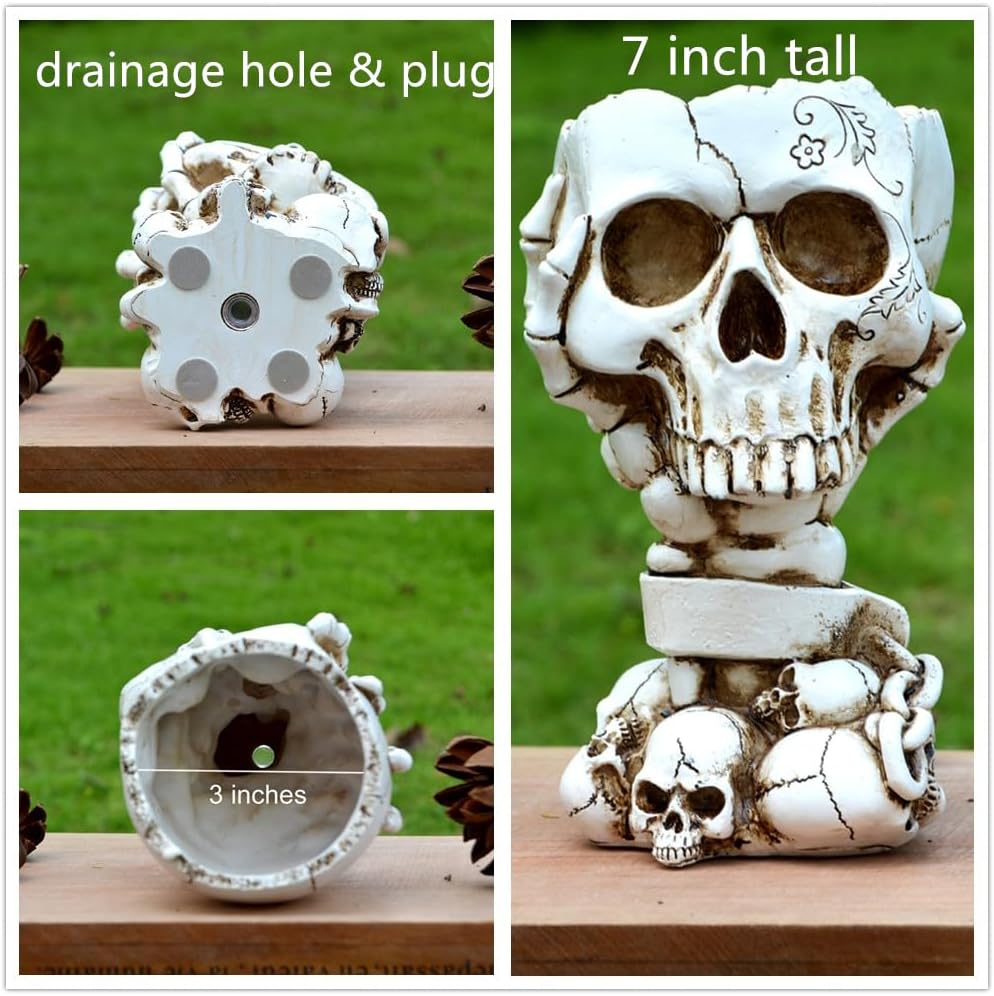 LovTocTic drainage and size graphic