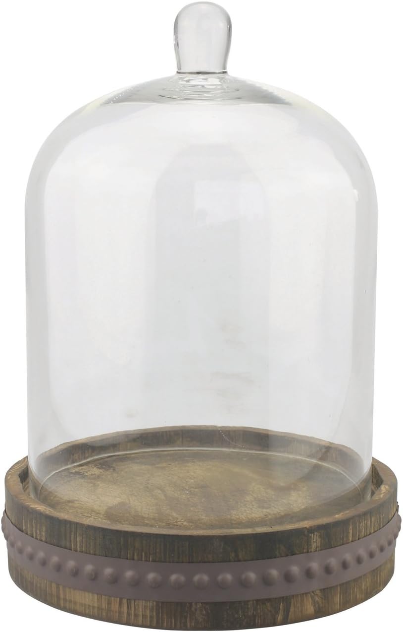 Stonebriar medium glass cloche with rustic wooden base