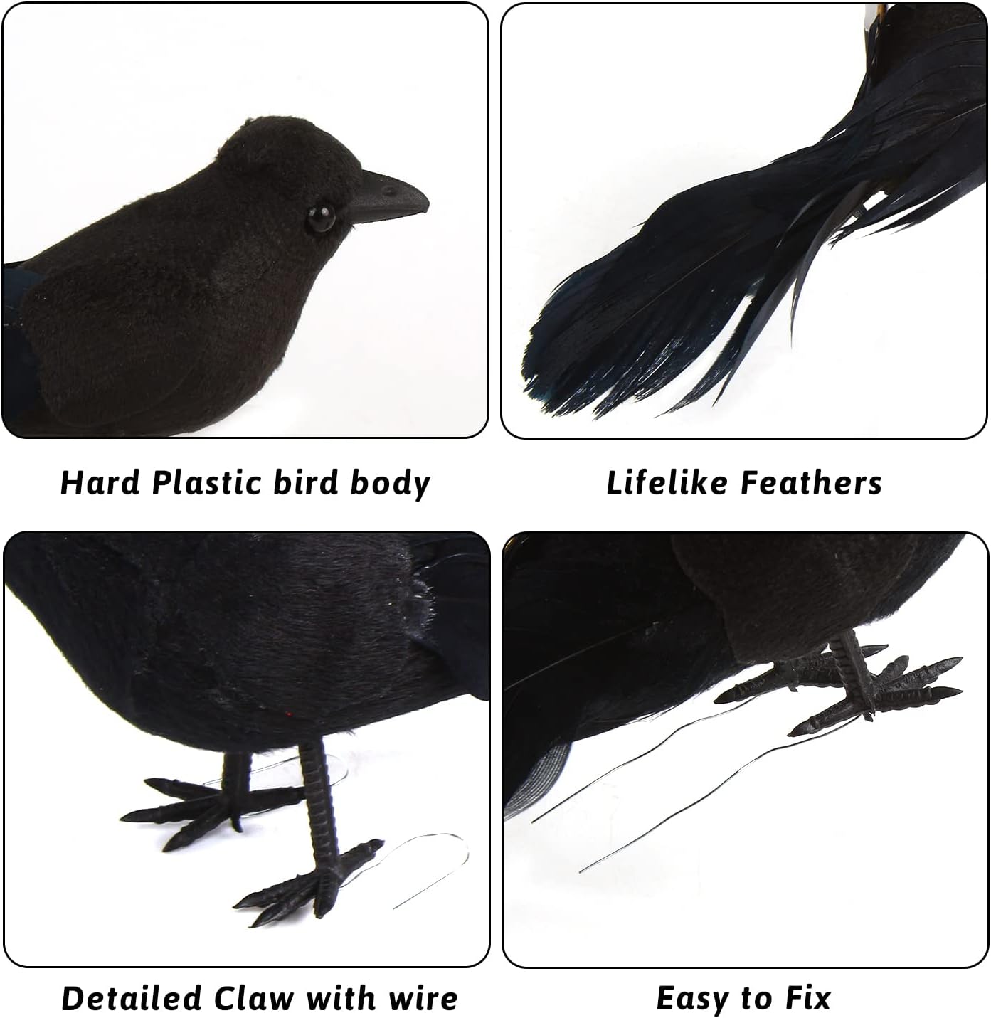 Listing close-up graphic of feathers and wire feet
