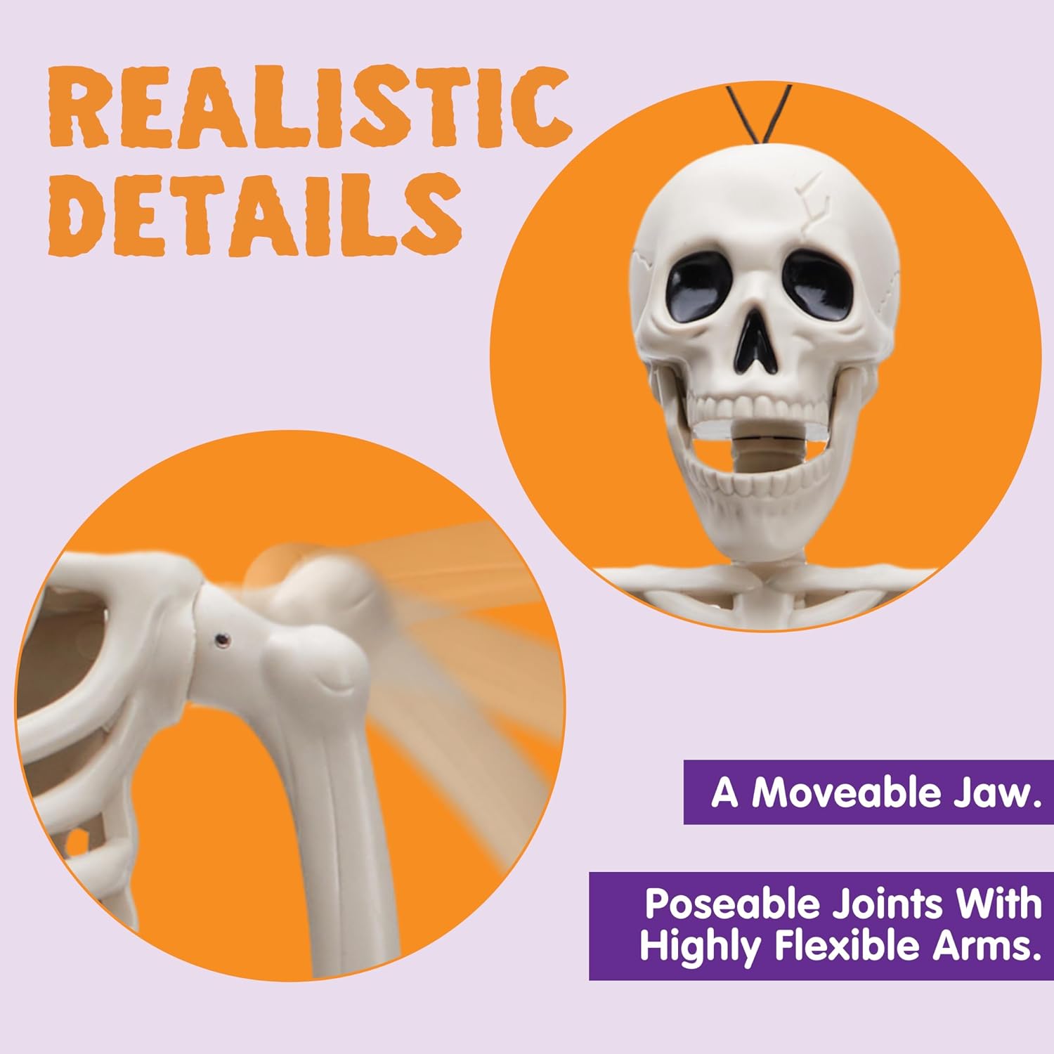 JOYIN miniature skeleton detail illustration