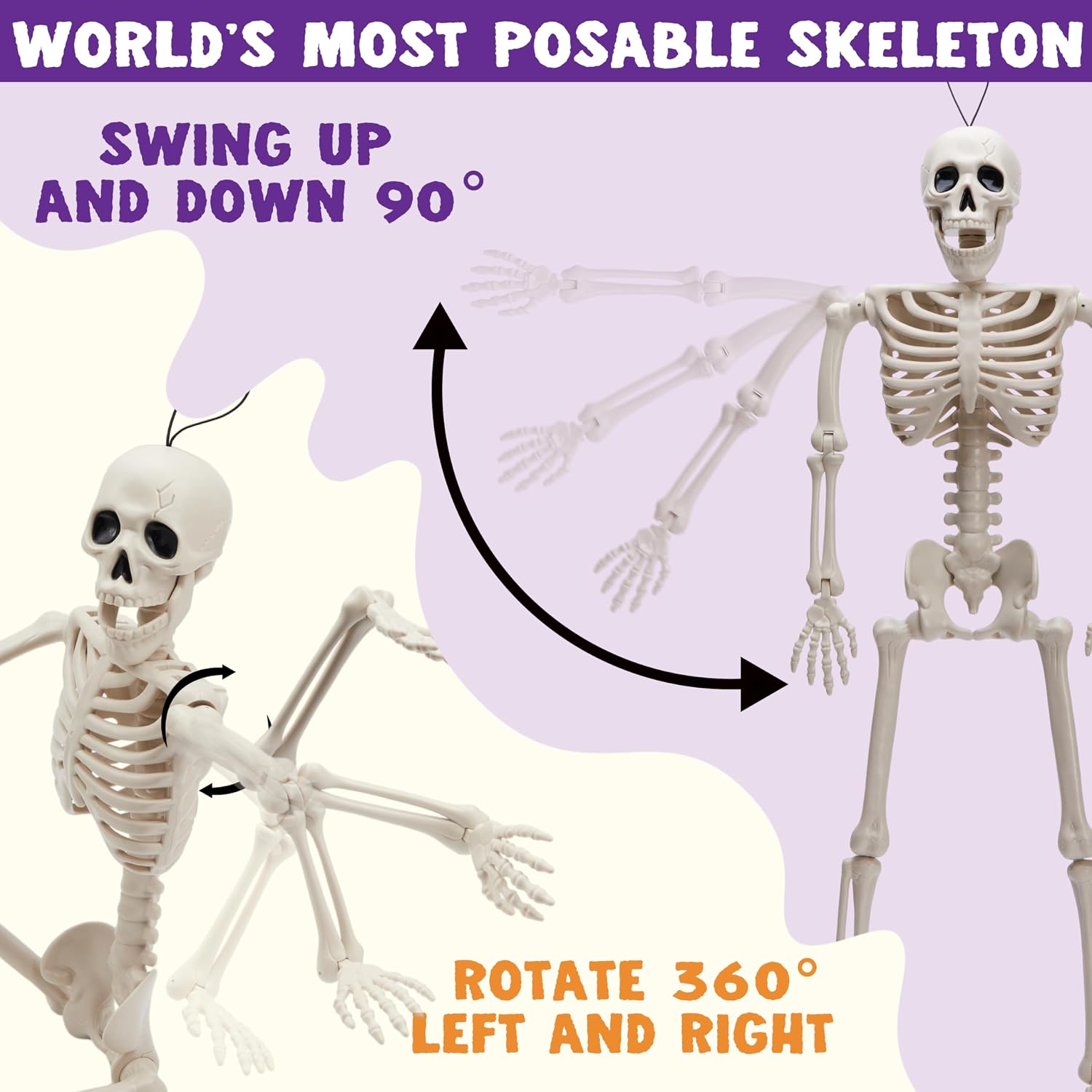 Listing graphic of mini skeleton dimensions