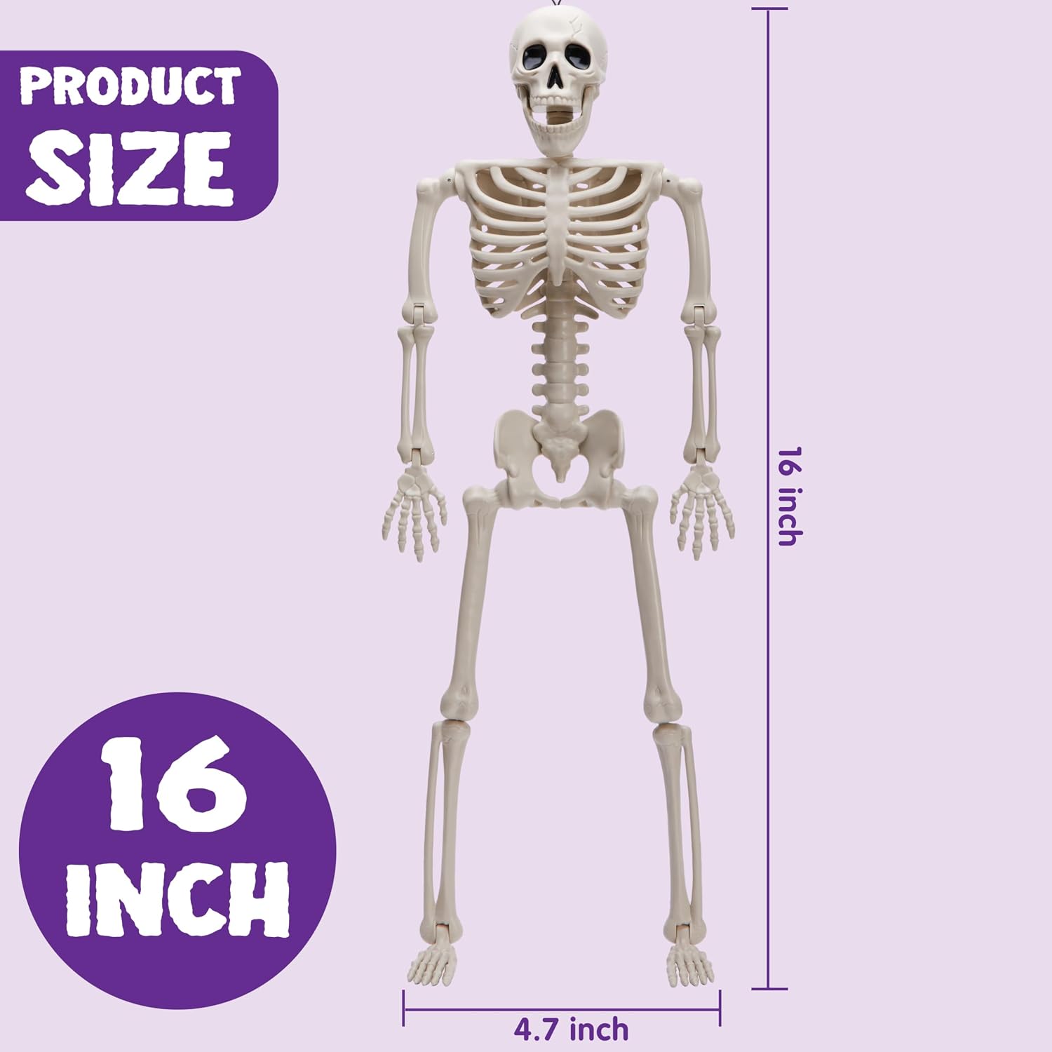 Manufacturer skeleton arrangement illustration