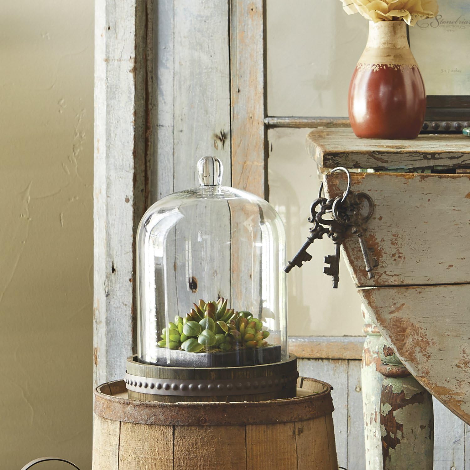 Stonebriar dome over a separate plant in a rustic scene