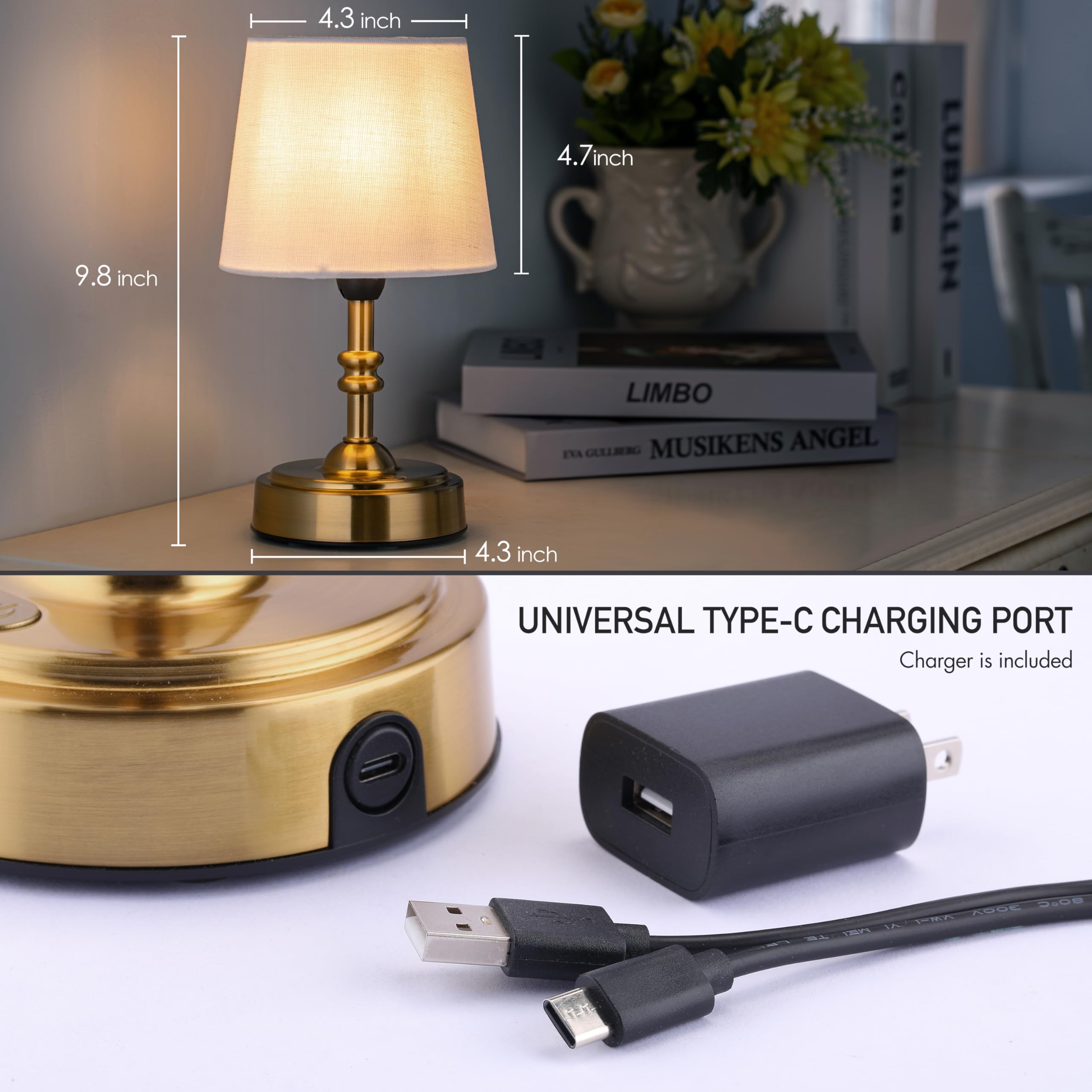 Supplier dimensions and Type-C charger image for the Seraph Mini