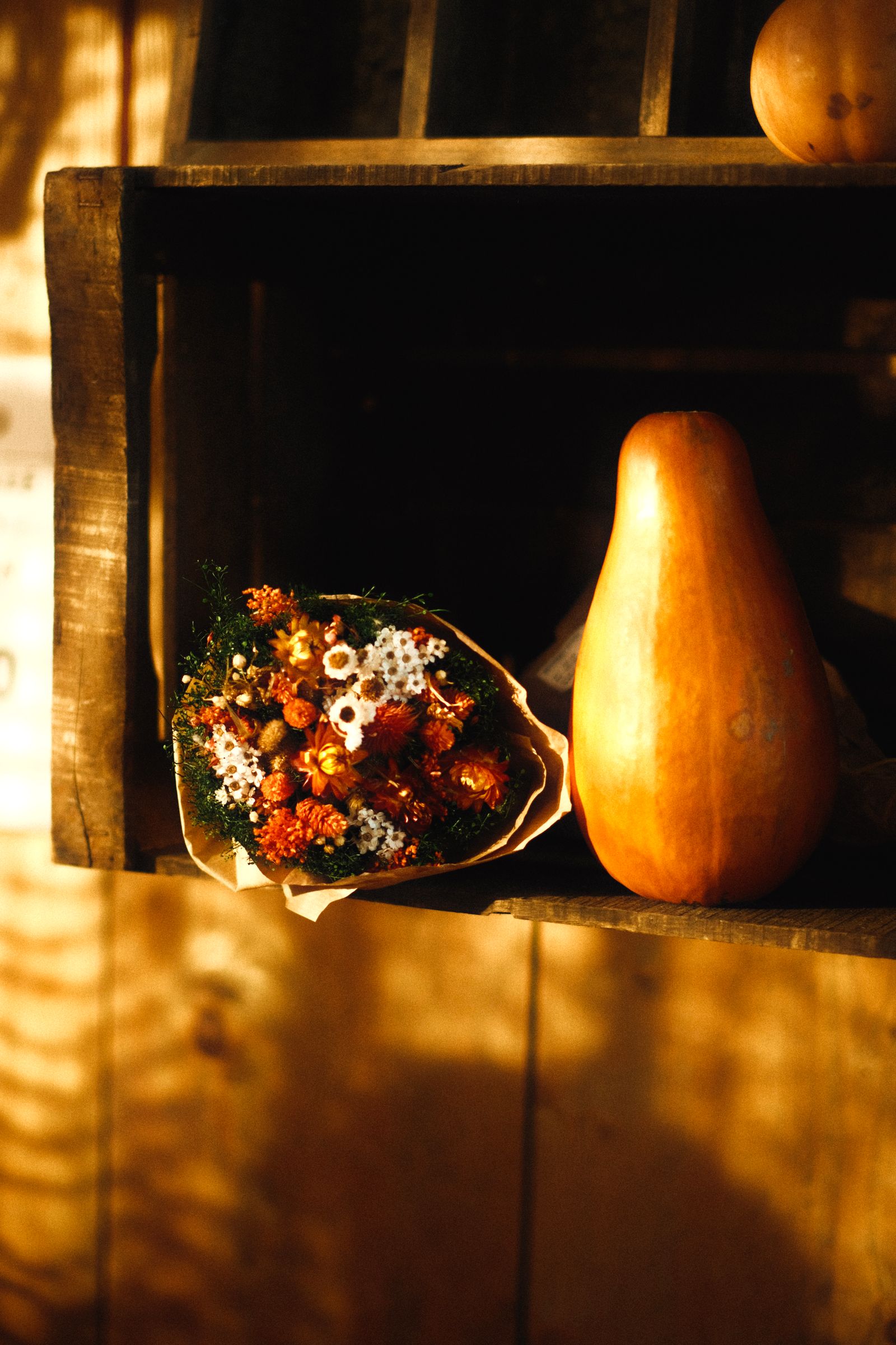 Dried flowers and a pumpkin in warm sunlight