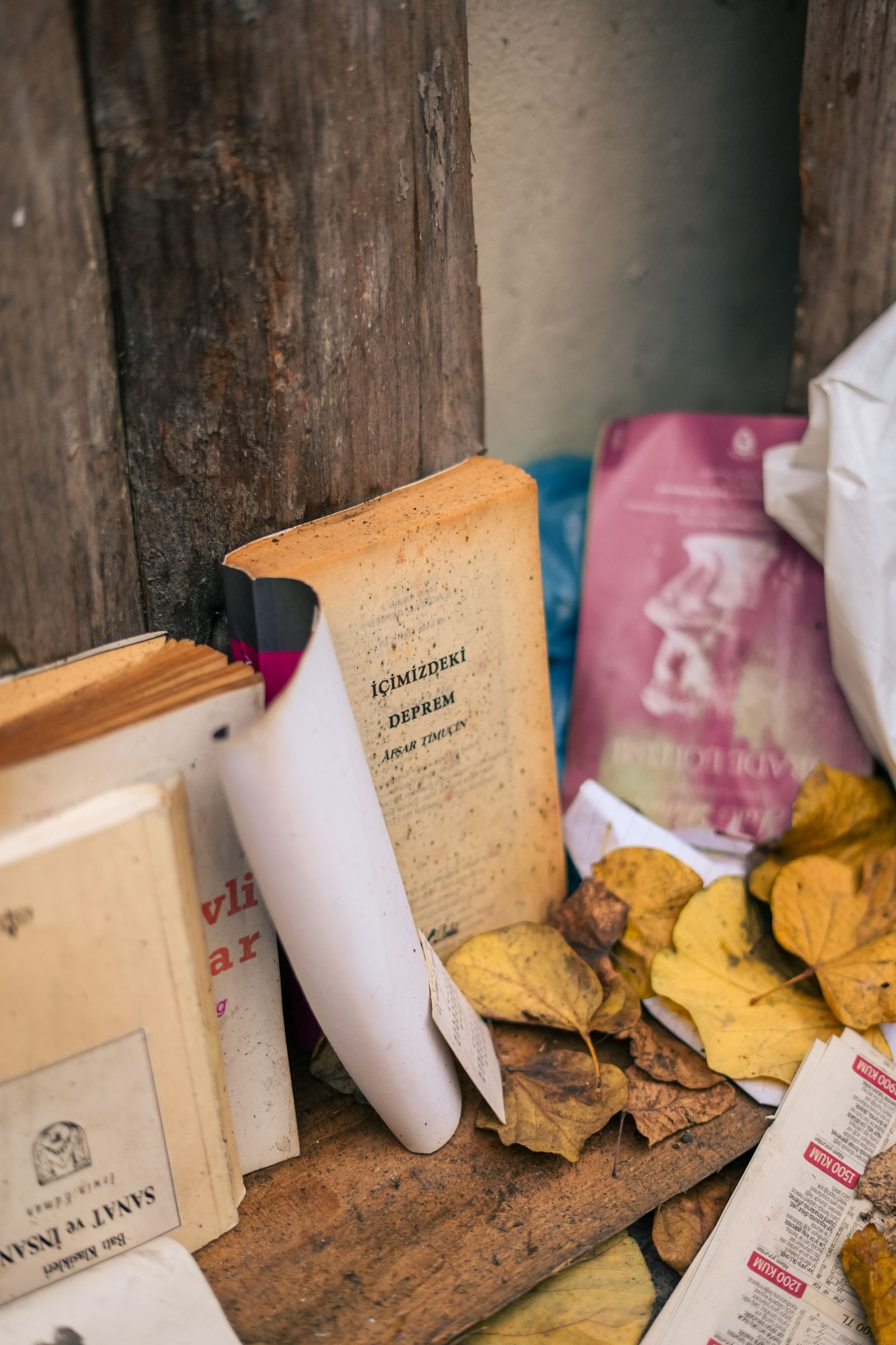 Vintage books and dried autumn leaves
